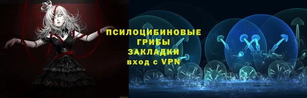 бошки Алексеевка