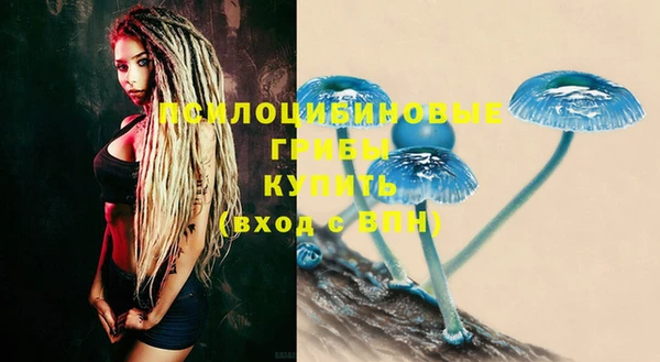 кокс Абаза