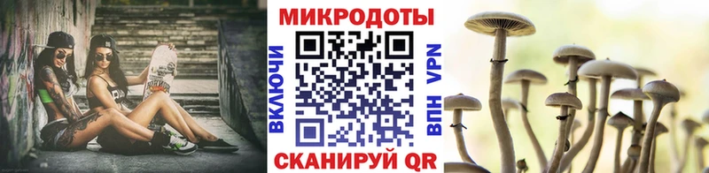где найти Безенчук Псилоцибиновые грибы Psilocybine cubensis